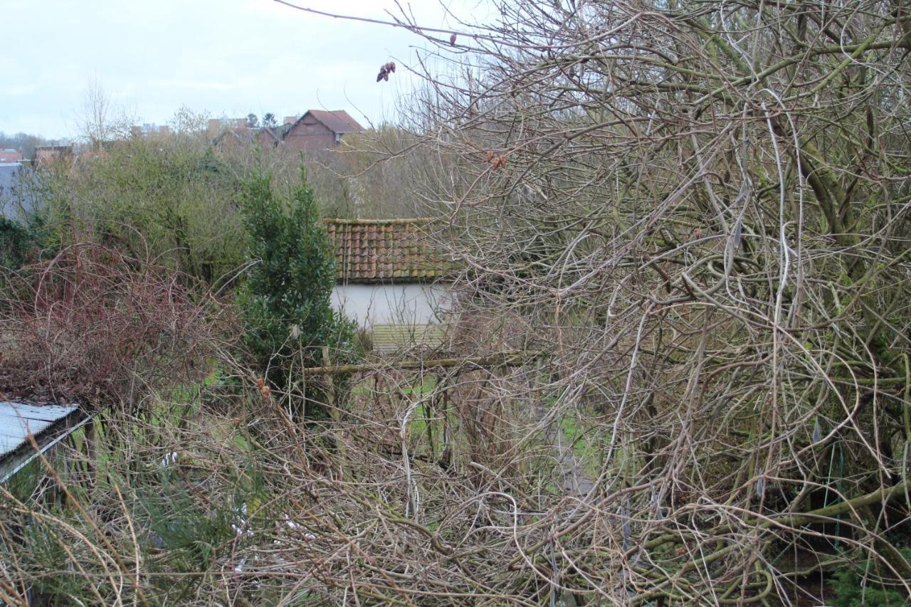 Maison D'Artiste Acces Jardin Maubeuge Zewnętrze zdjęcie